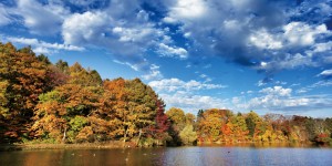 2015autumn3